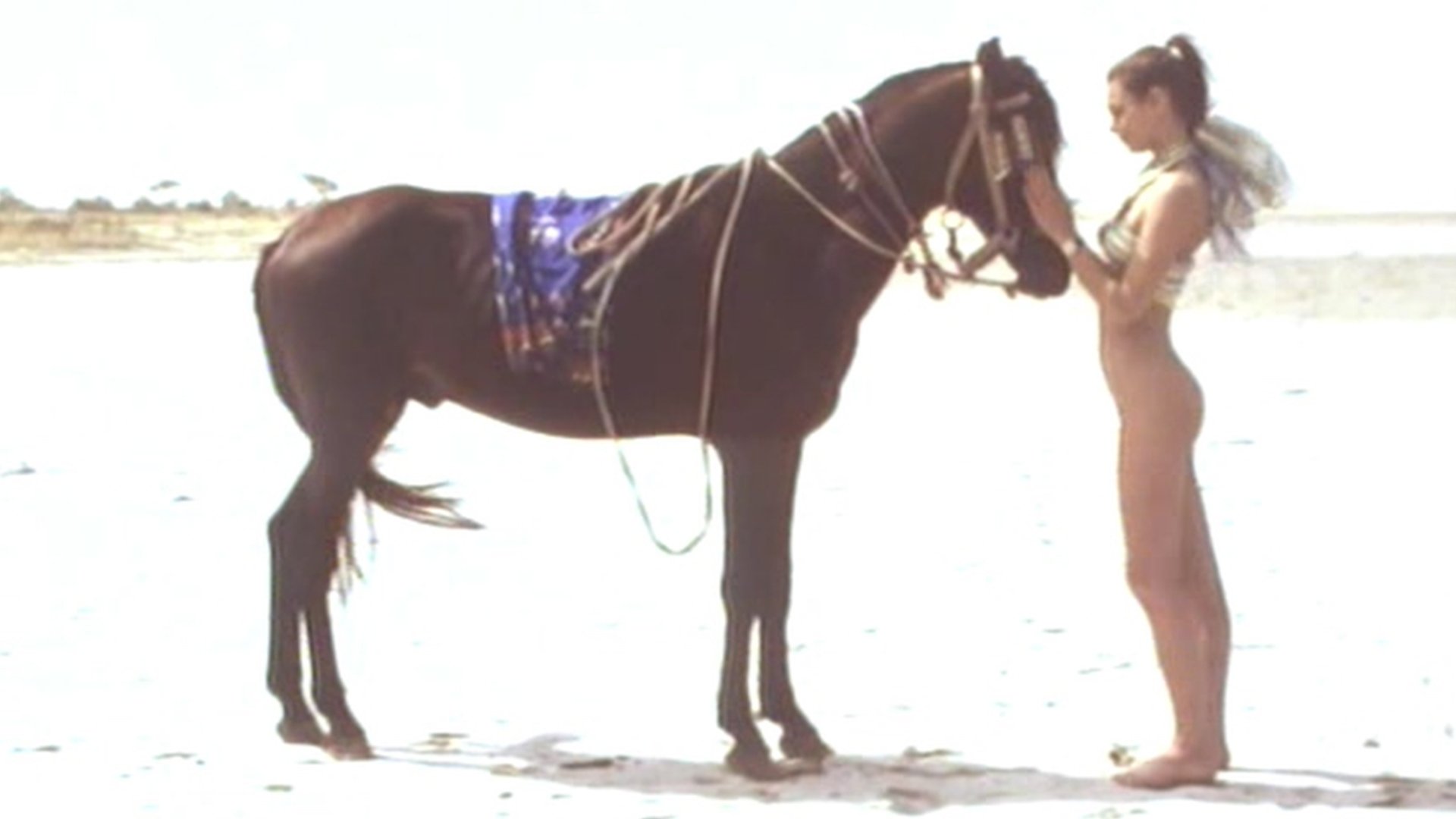 Backdrop for Joy in Africa