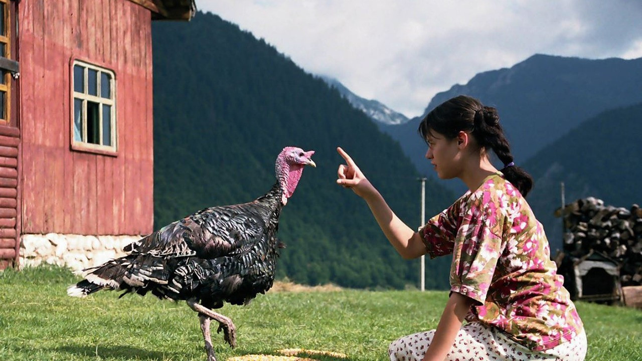 Backdrop for Lost and Found