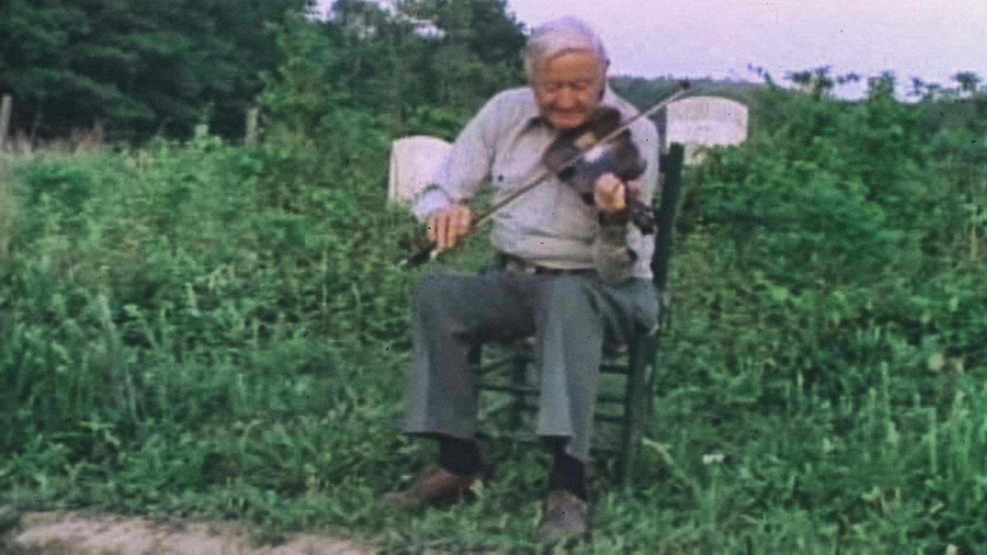 Backdrop for Sprout Wings and Fly