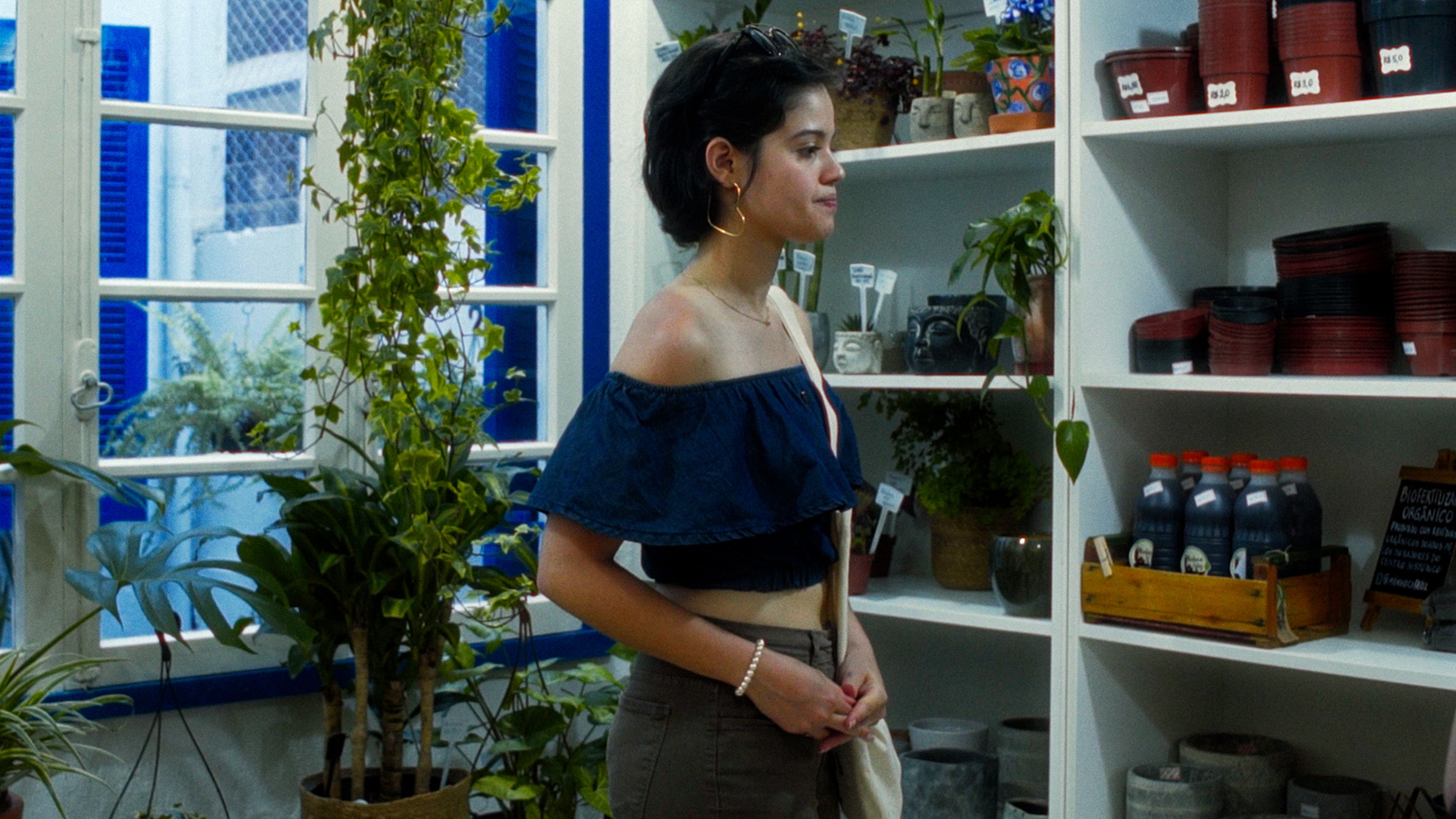 Backdrop for Flores da Primavera