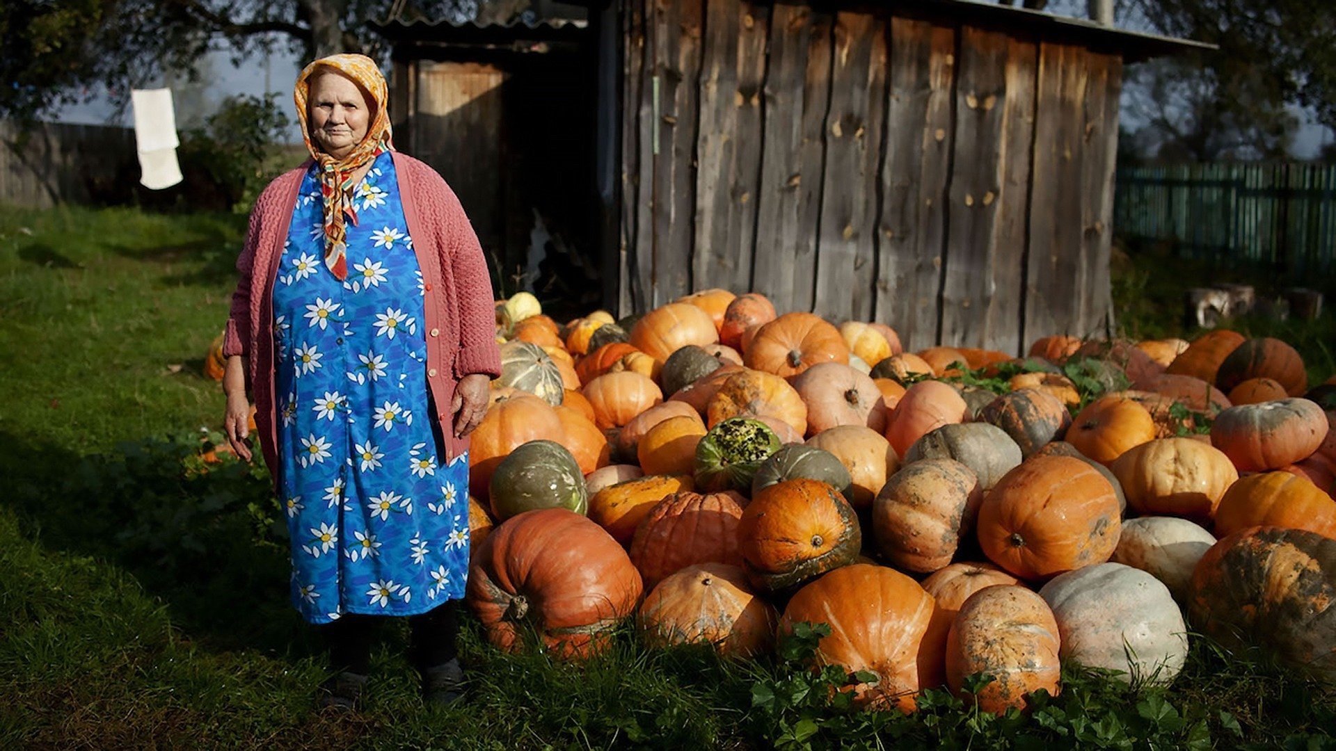 Backdrop for The Babushkas of Chernobyl