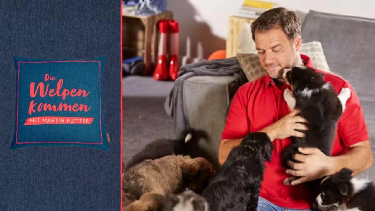 Backdrop for Martin Rütter - Die Welpen kommen