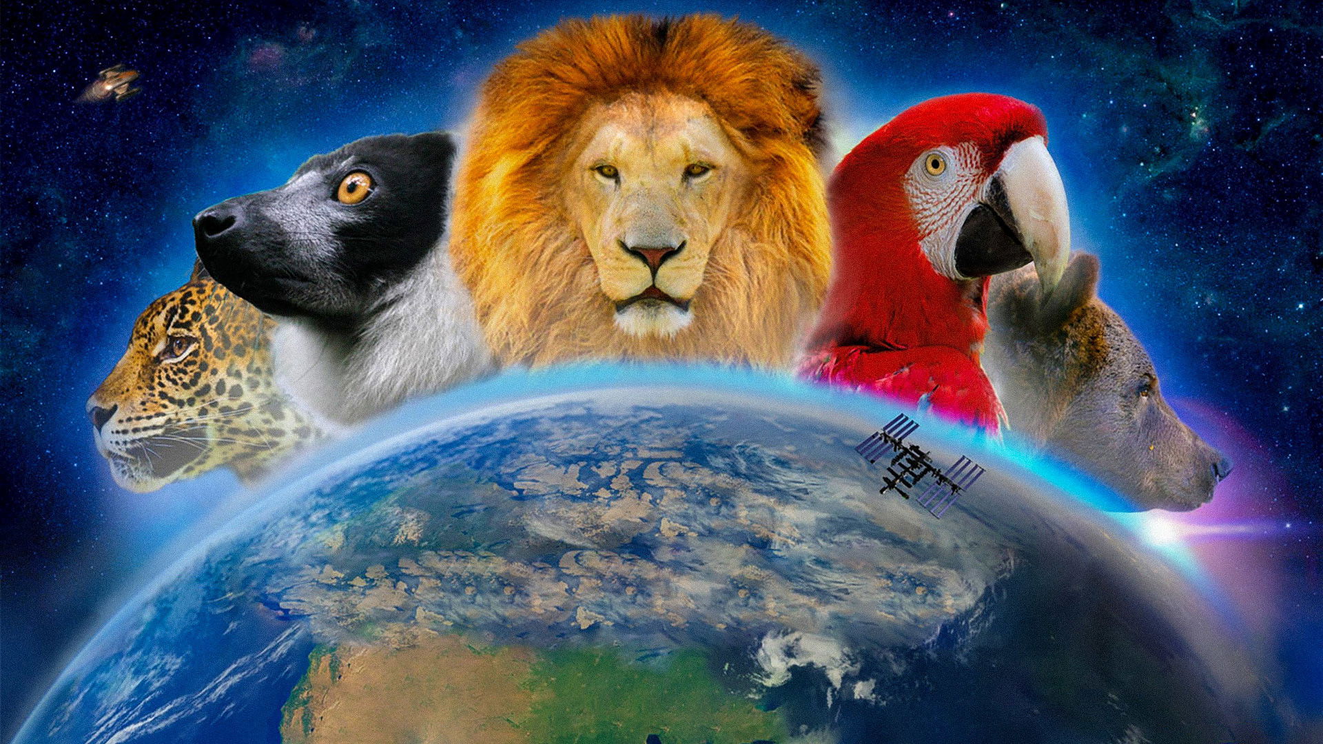 Backdrop for Wonderful World 3D