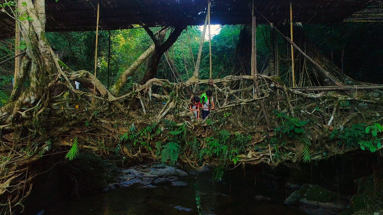 Backdrop for For Tomorrow - the Documentary