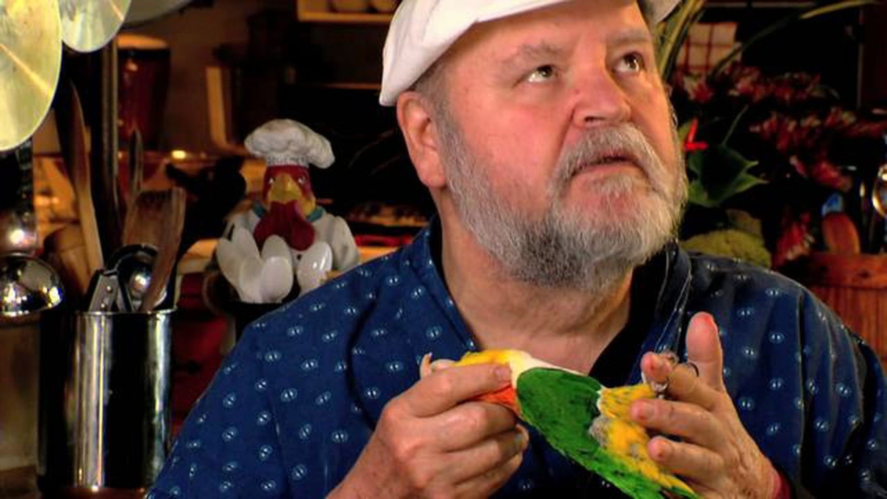 Backdrop for According to Dom