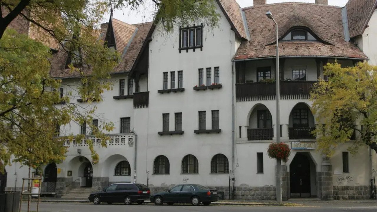 Backdrop for Among Friends