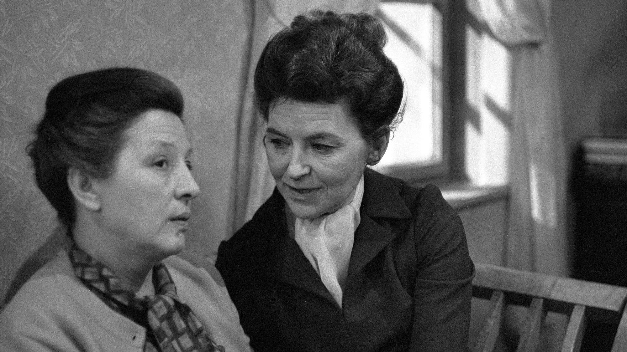 Backdrop for Křeslo pro gladioly