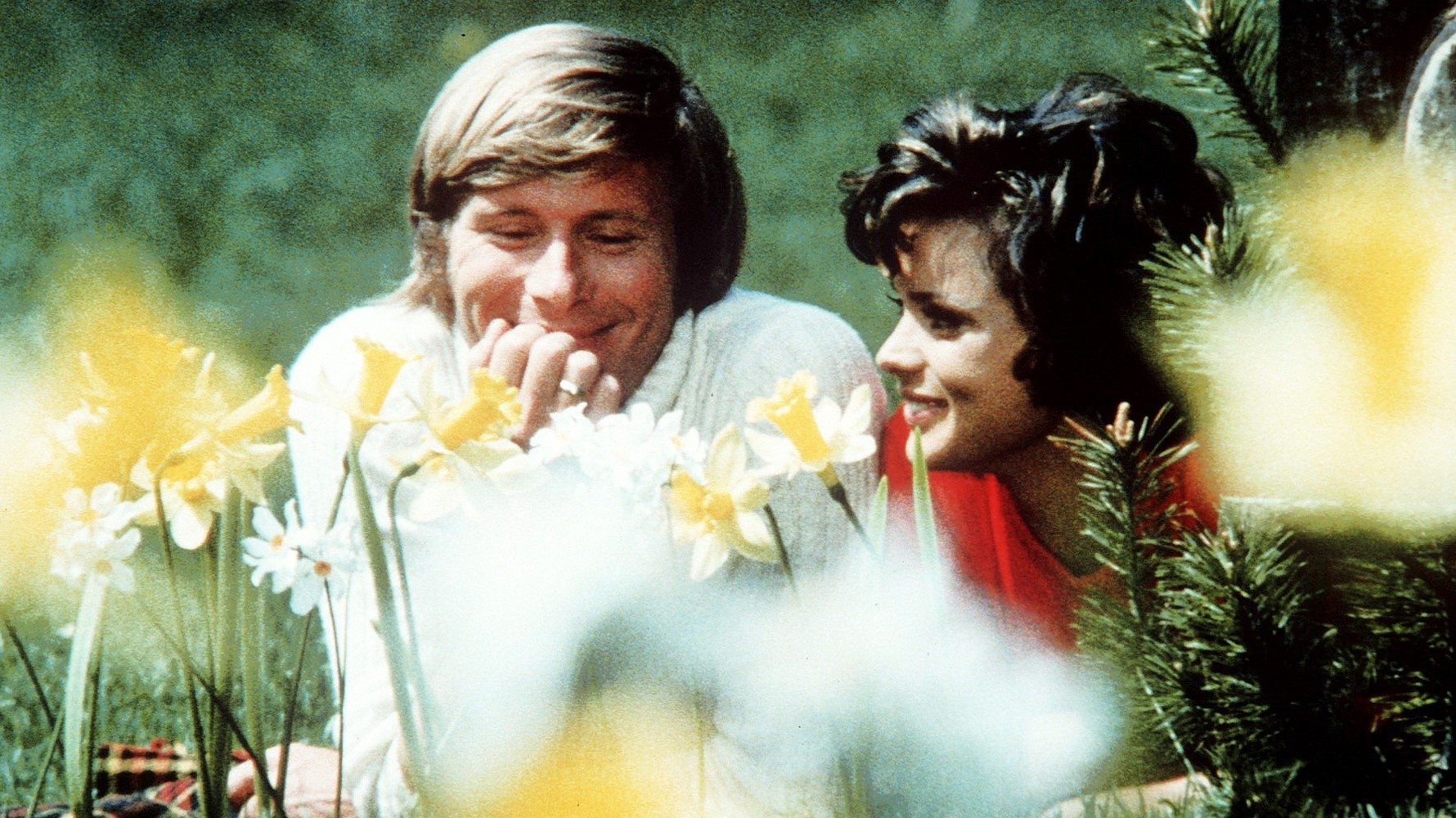 Backdrop for Hilfe, die Verwandten kommen