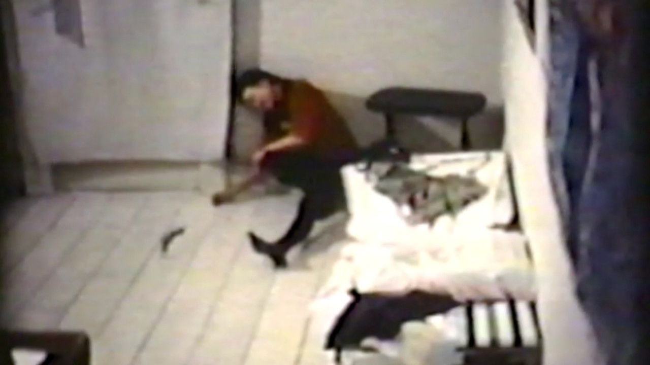 Backdrop for Tootsies in Autumn