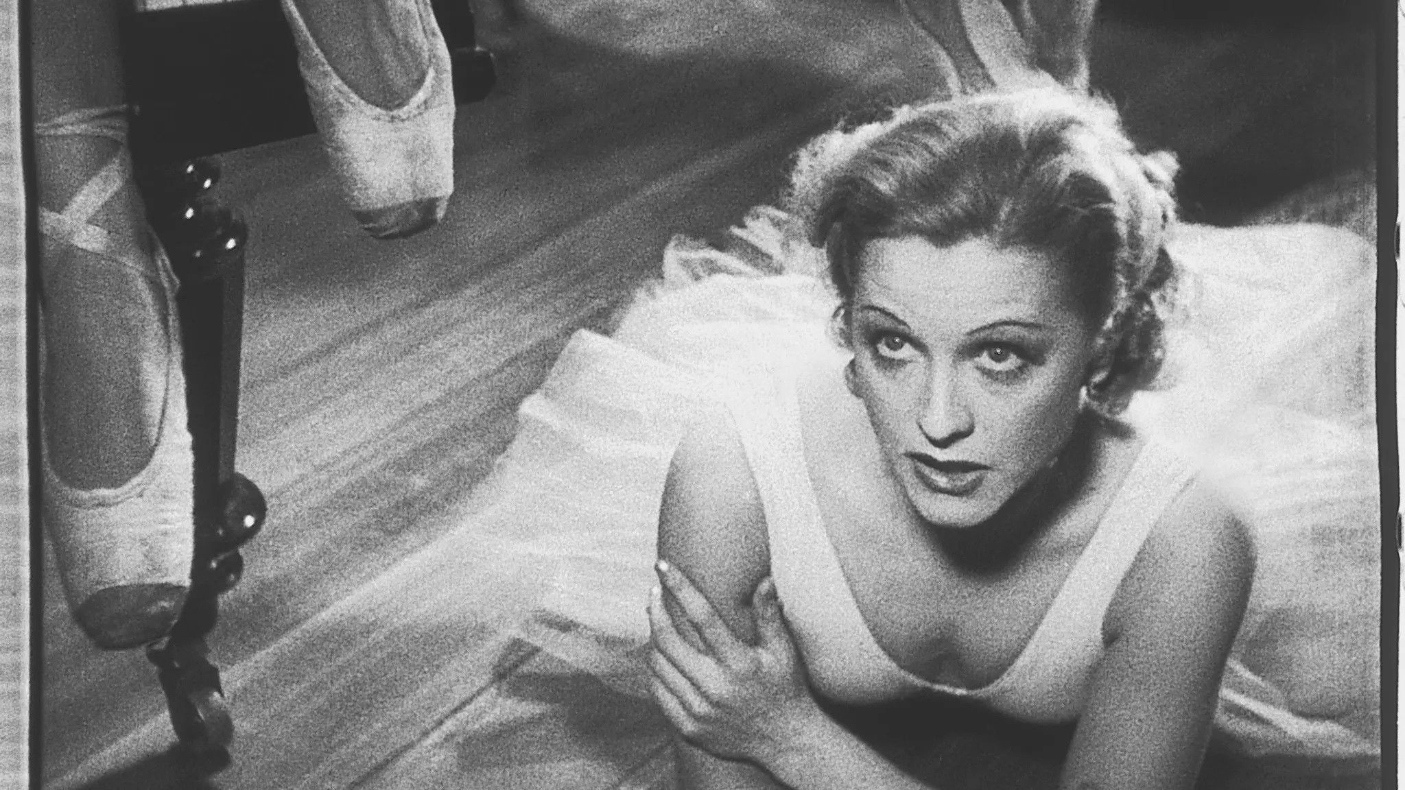 Backdrop for Silhouettes