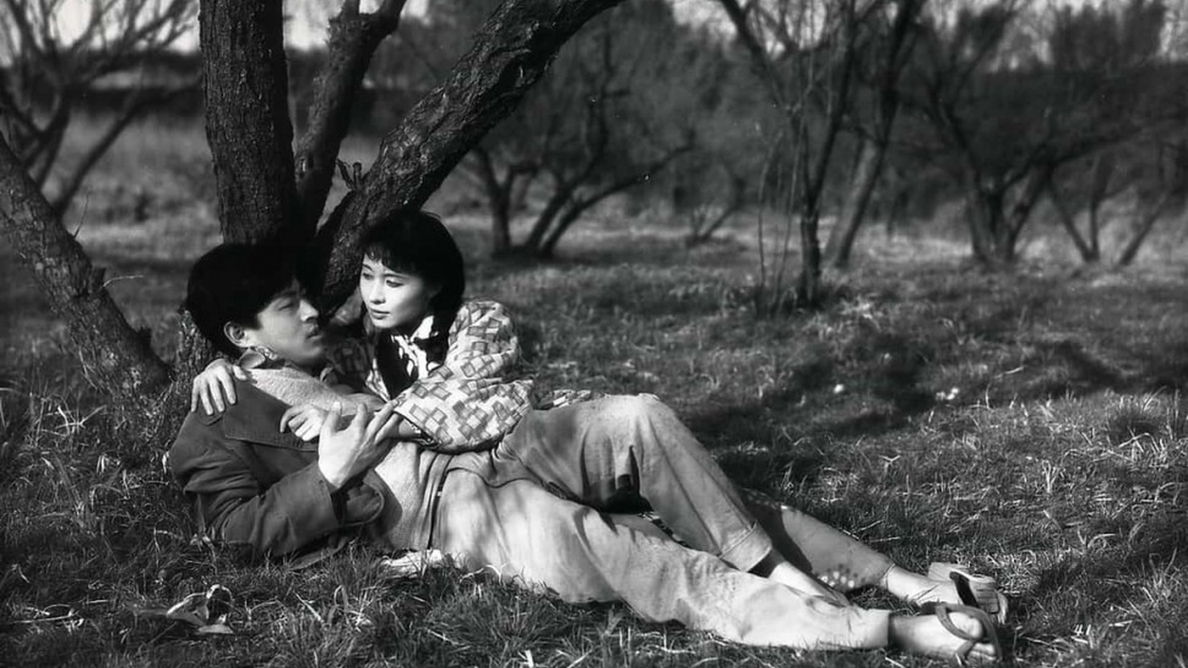 Backdrop for Stolen Desire