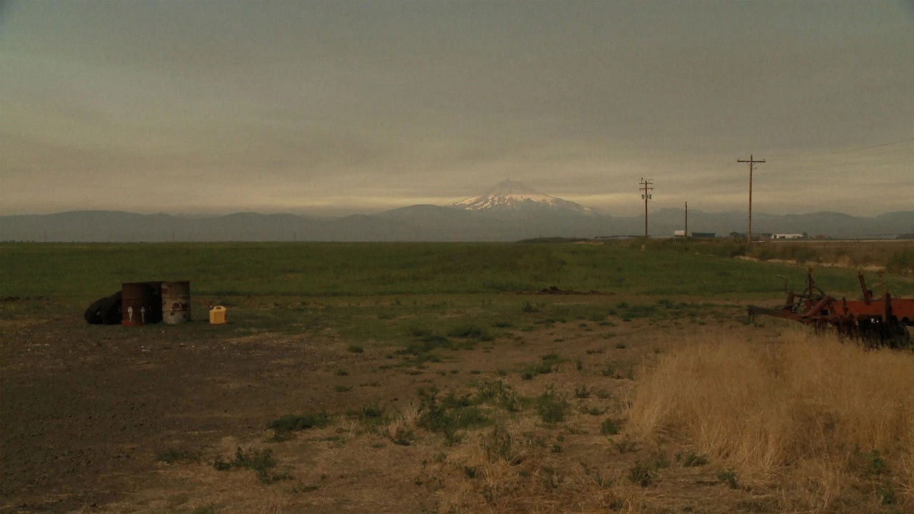 Backdrop for L. Cohen