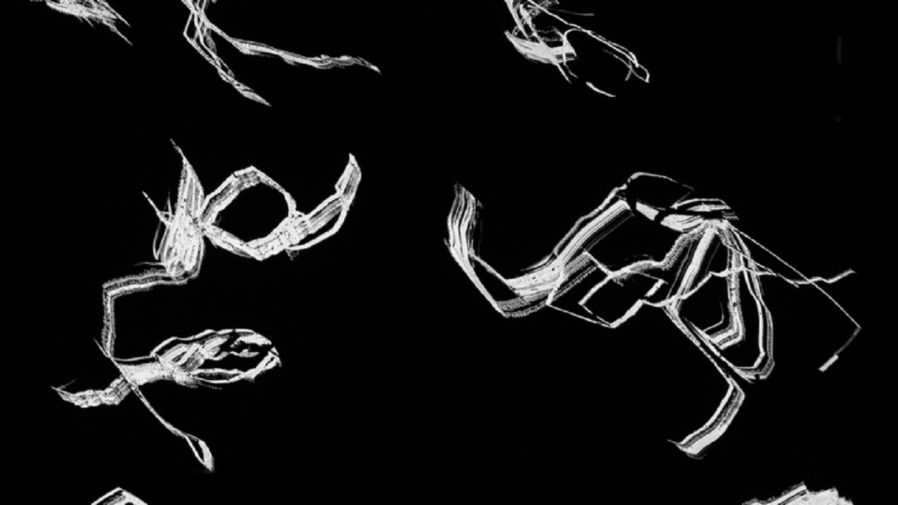 Backdrop for Free Radicals