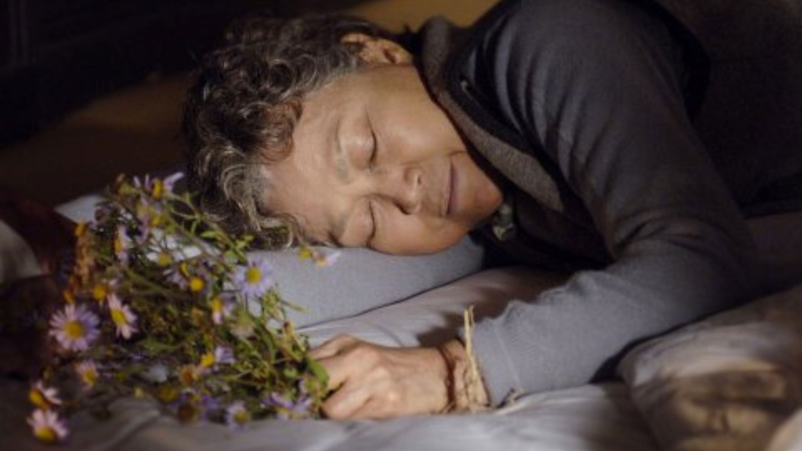 Backdrop for 쑥부쟁이