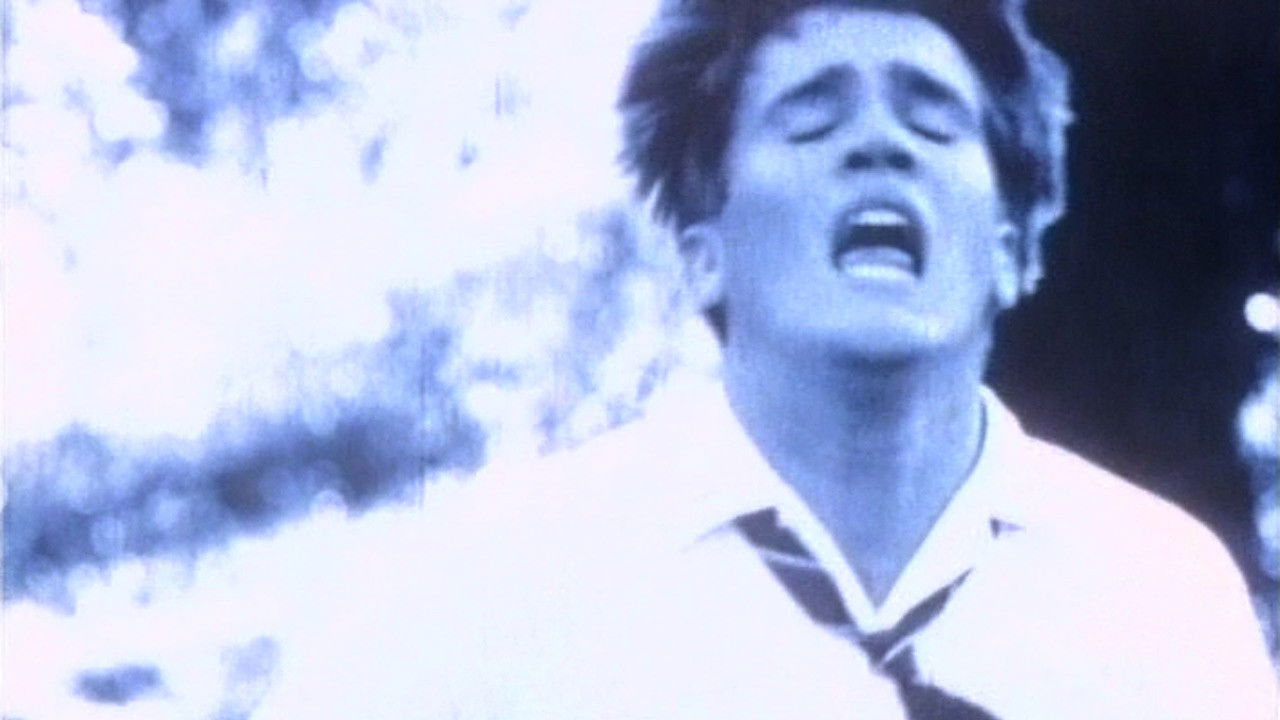 Backdrop for Freiheit