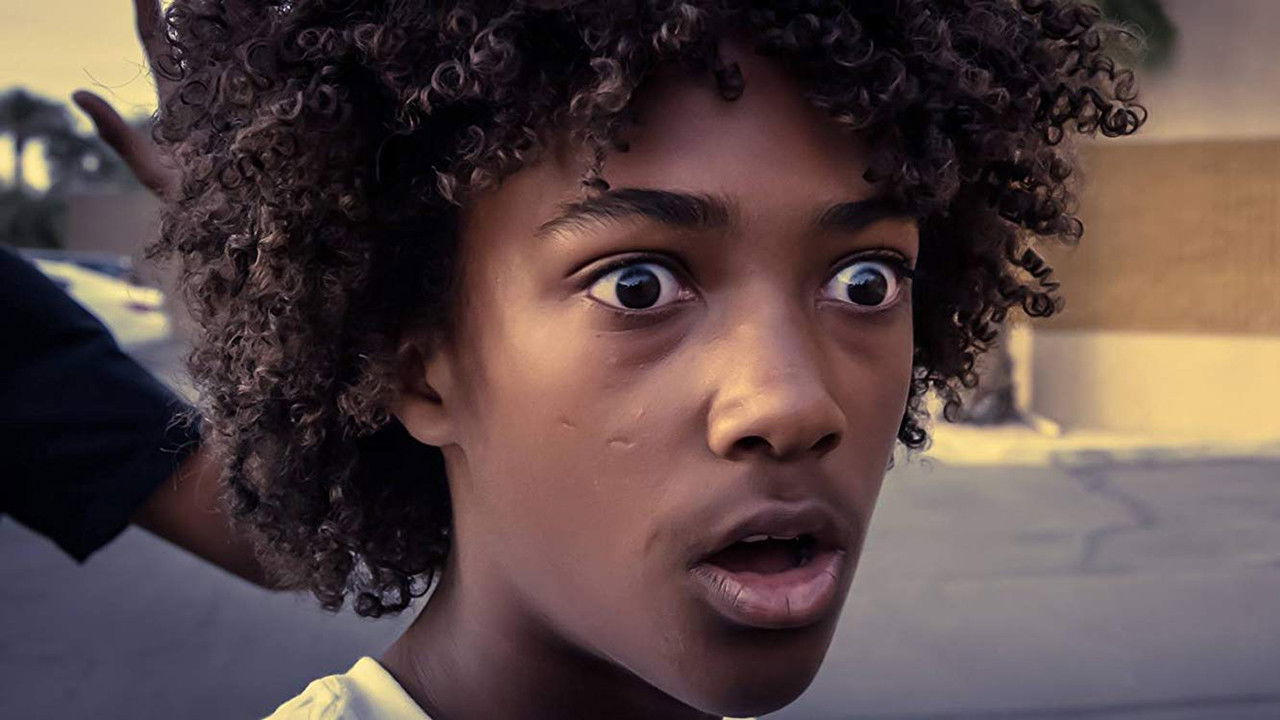 Backdrop for The System