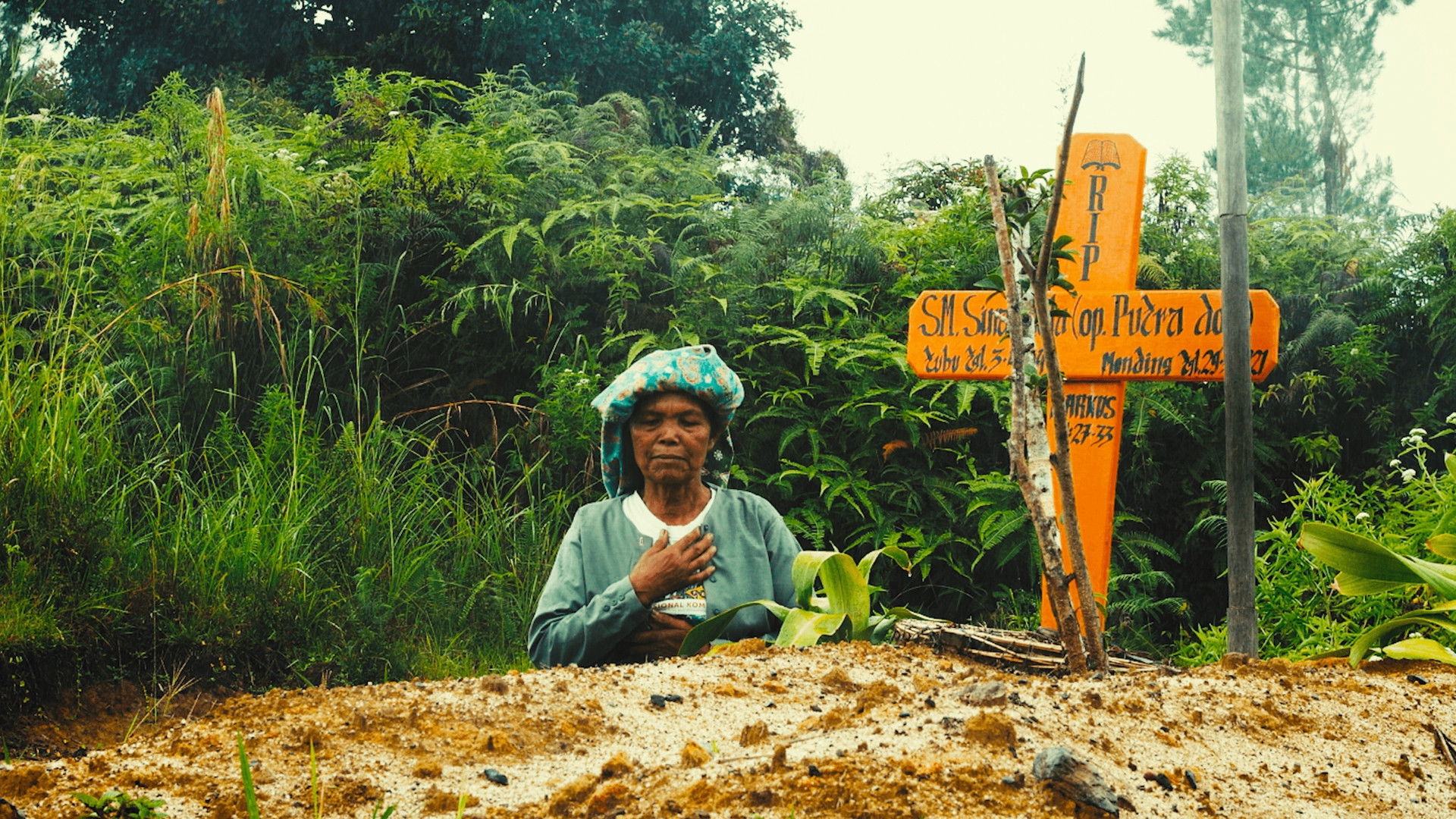 Backdrop for Motherland Memories