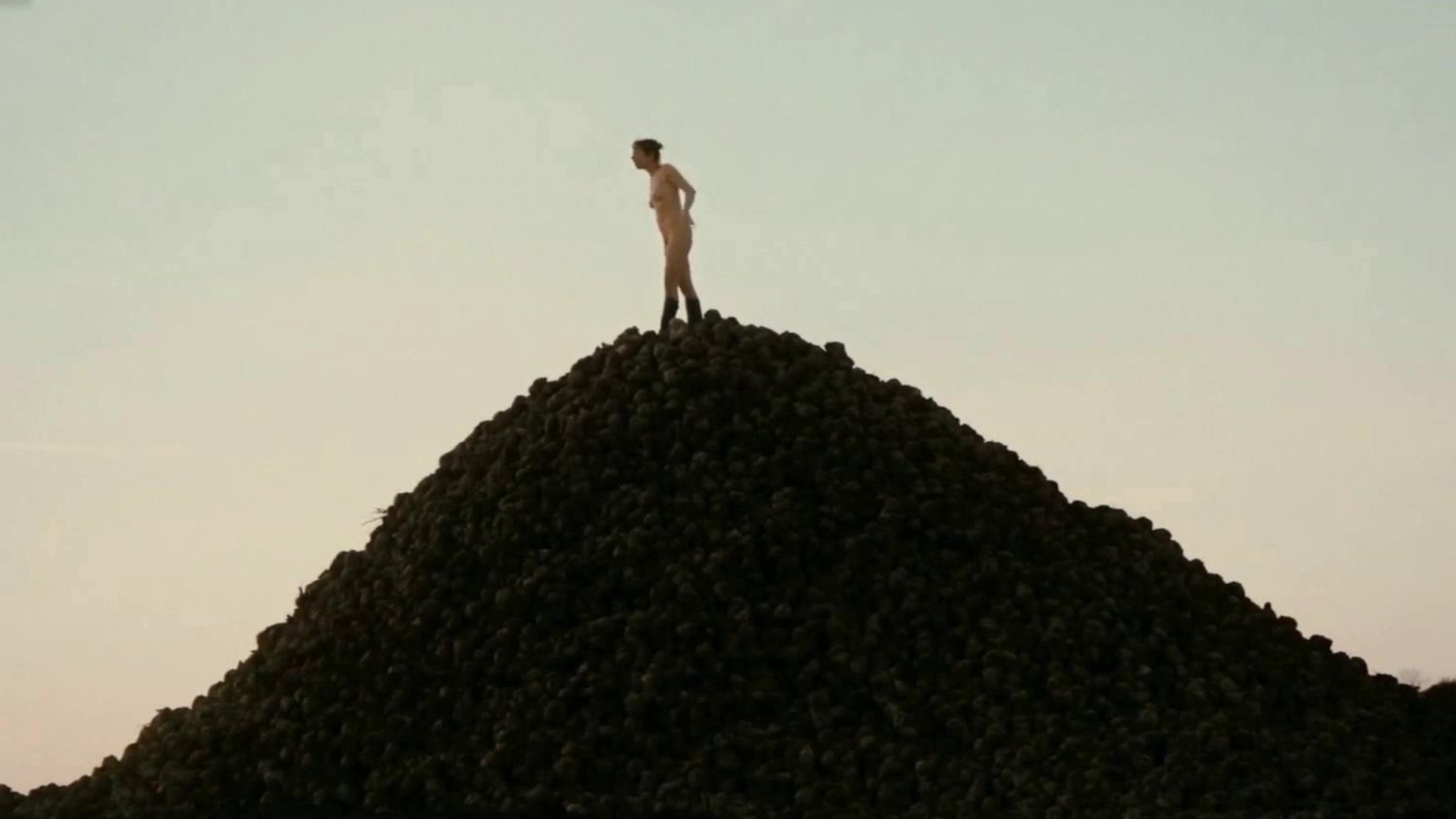 Backdrop for Forward, Calm and Straight