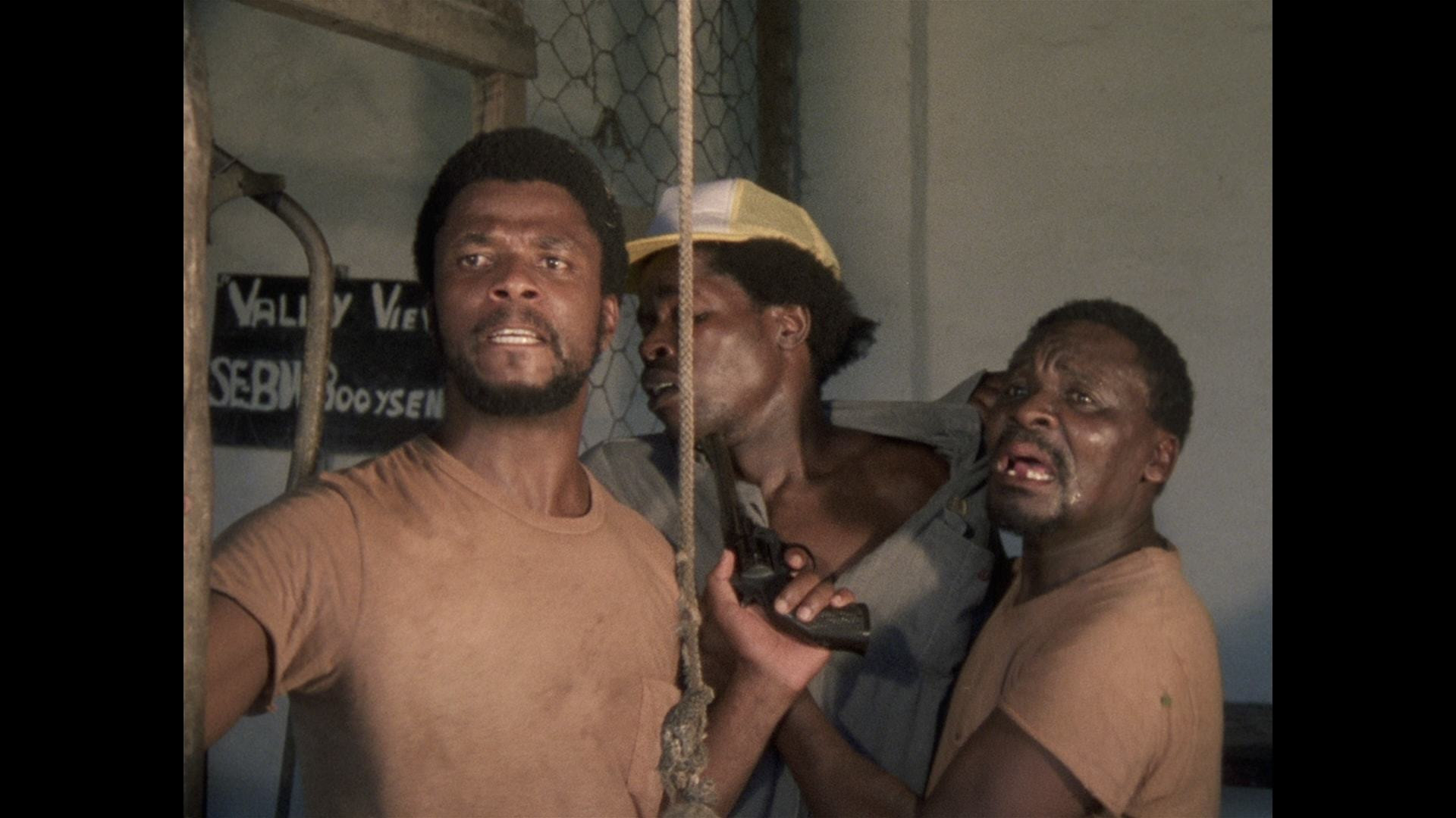 Backdrop for Fishy Stones