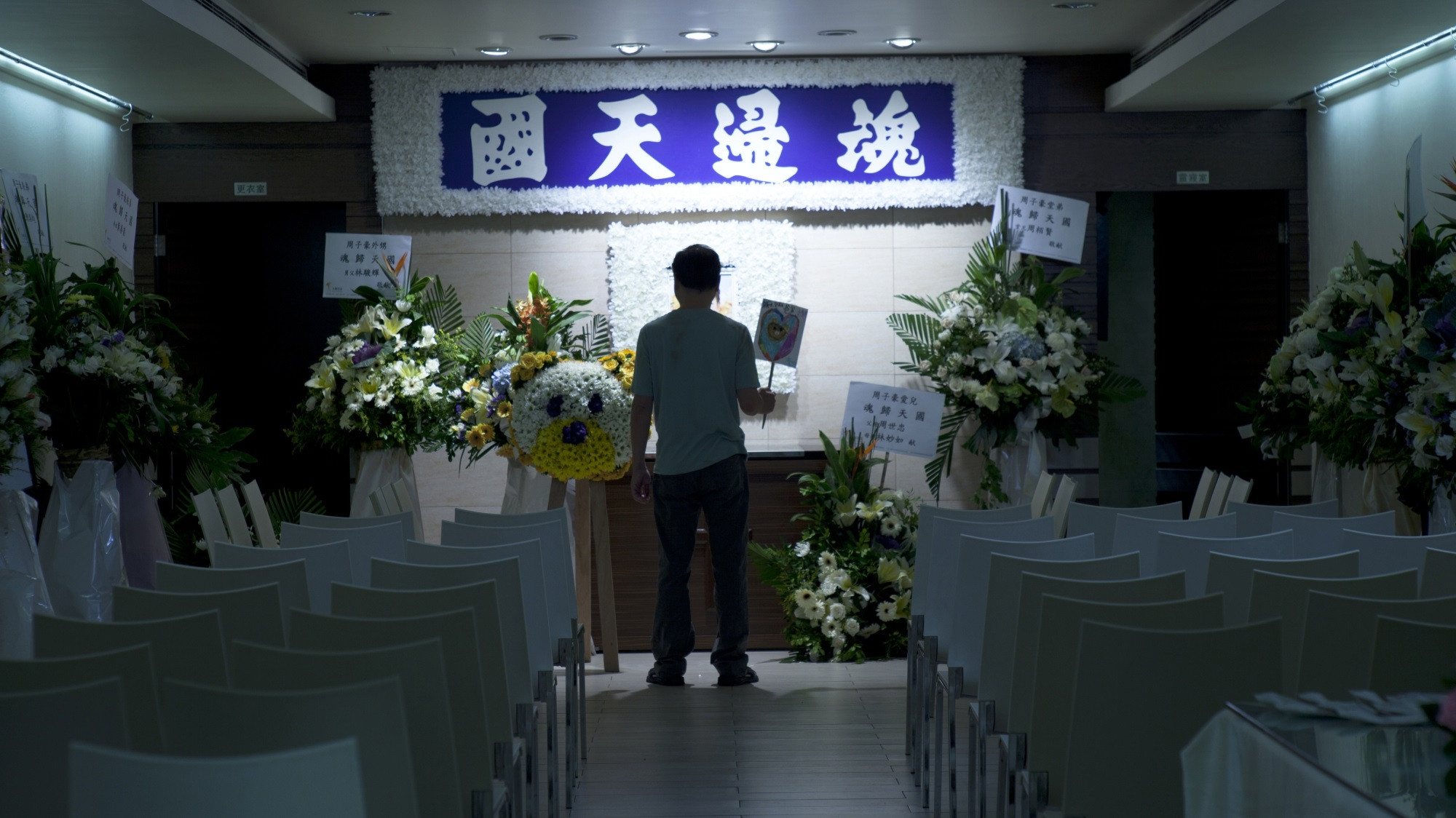 Backdrop for Flowers with Aphasia