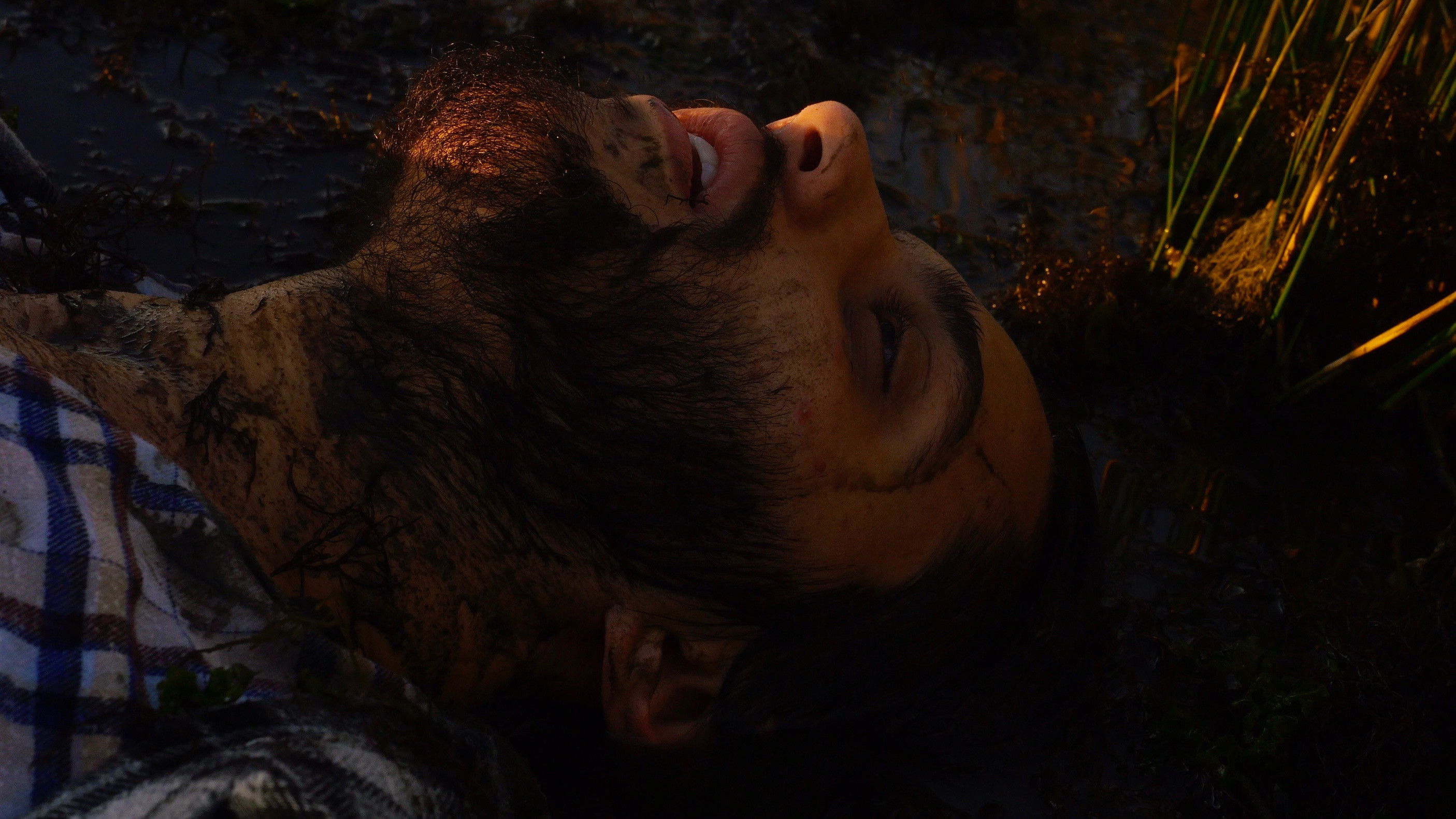 Backdrop for Aos Céus