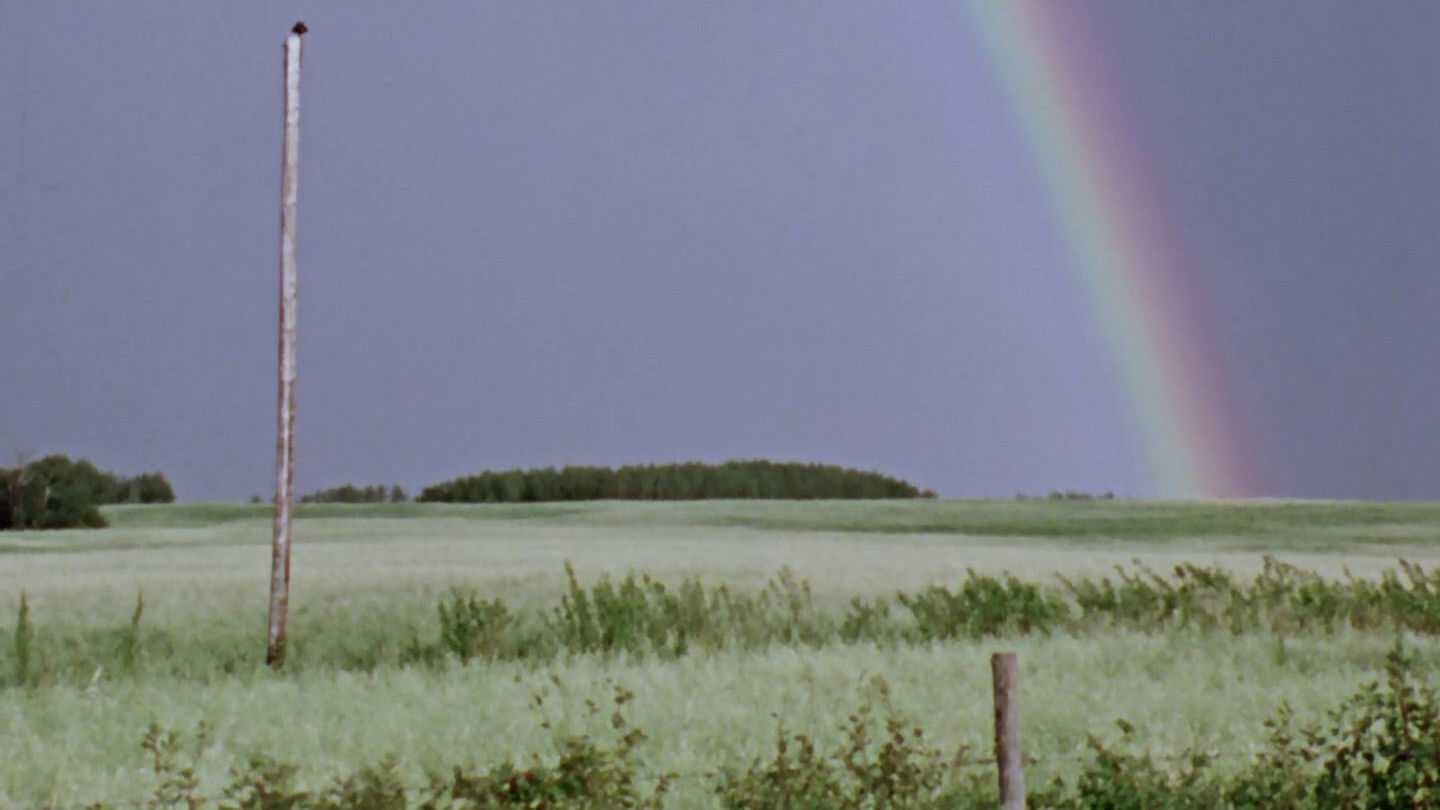 Backdrop for We're Here to Stay