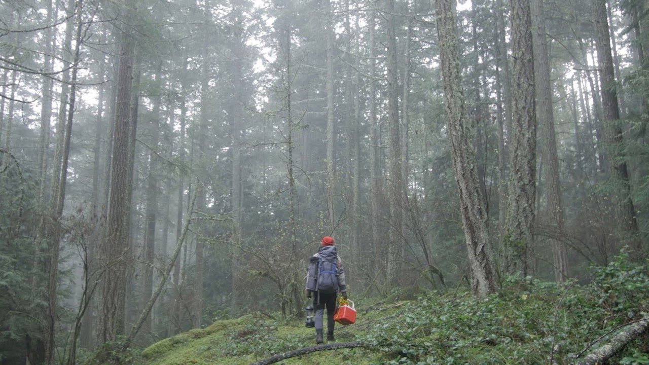 Backdrop for The Interior