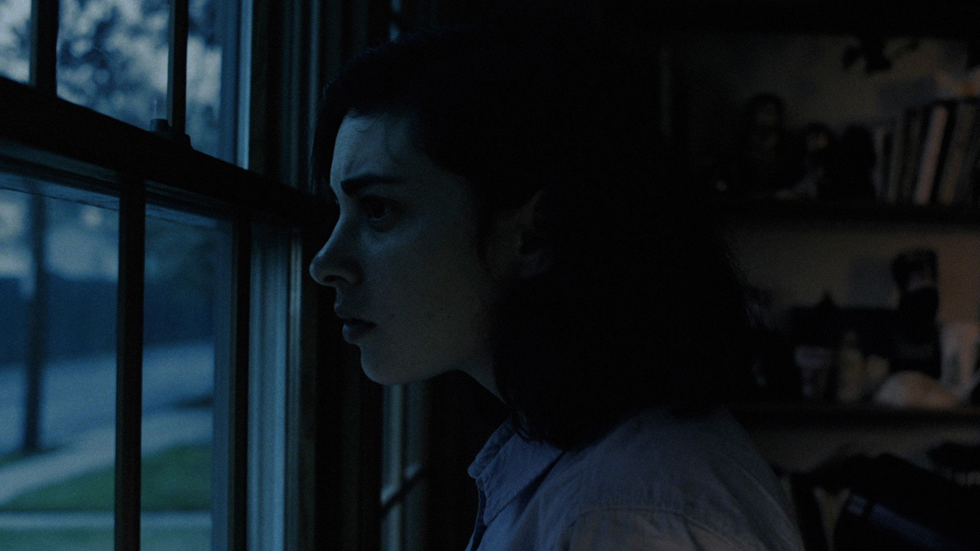 Backdrop for Levittown