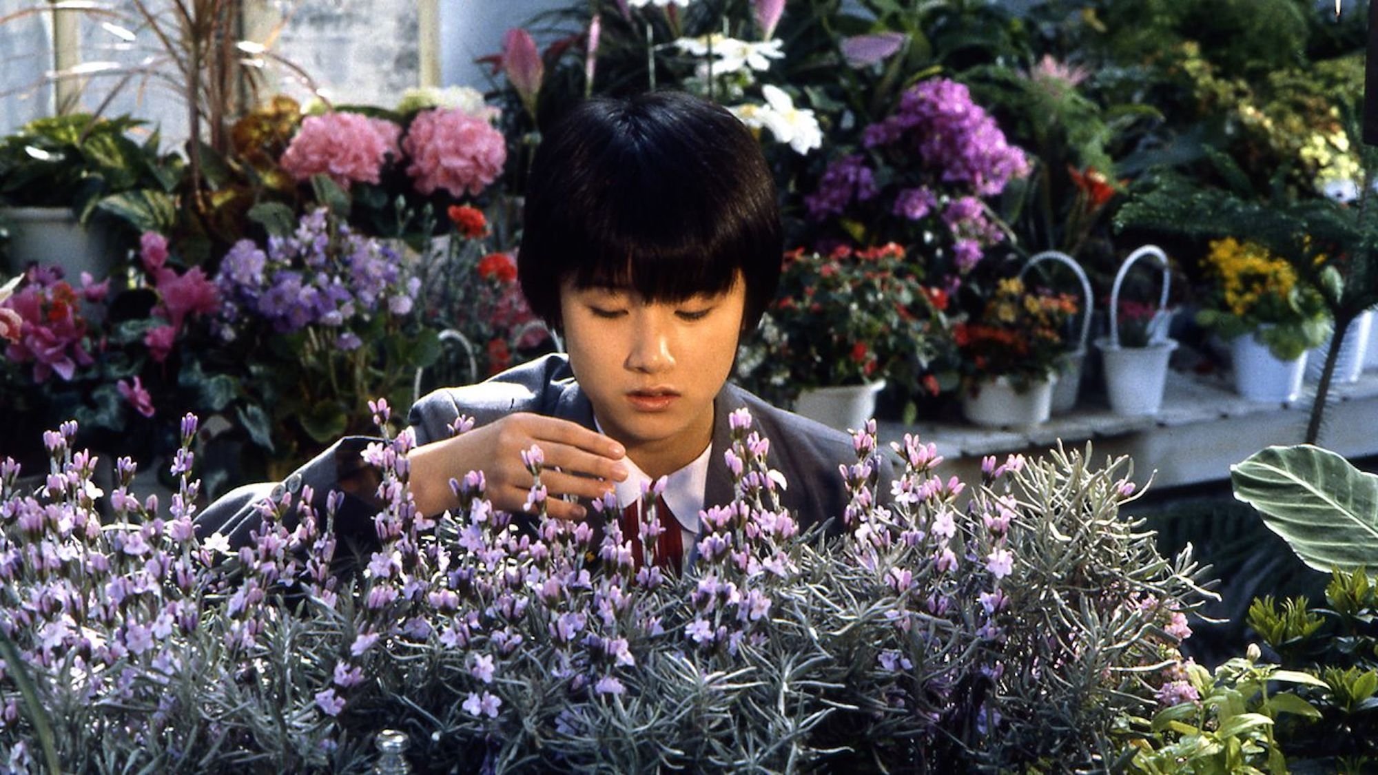 Backdrop for The Girl Who Leapt Through Time