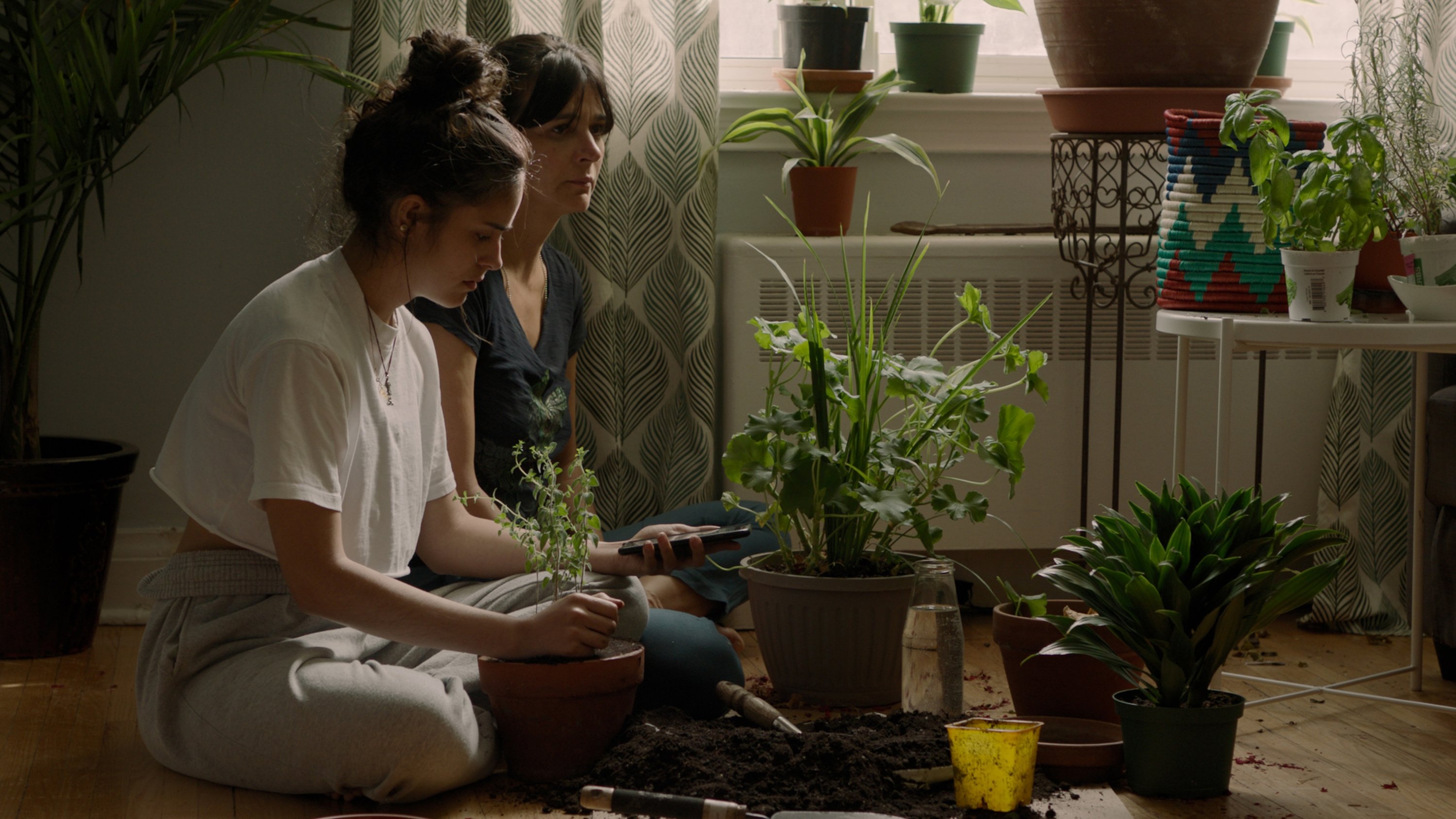 Backdrop for So Much Tenderness