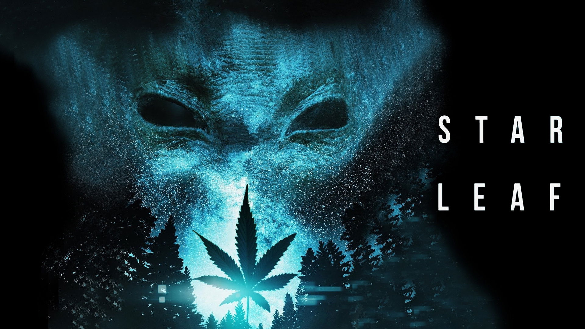 Backdrop for Star Leaf