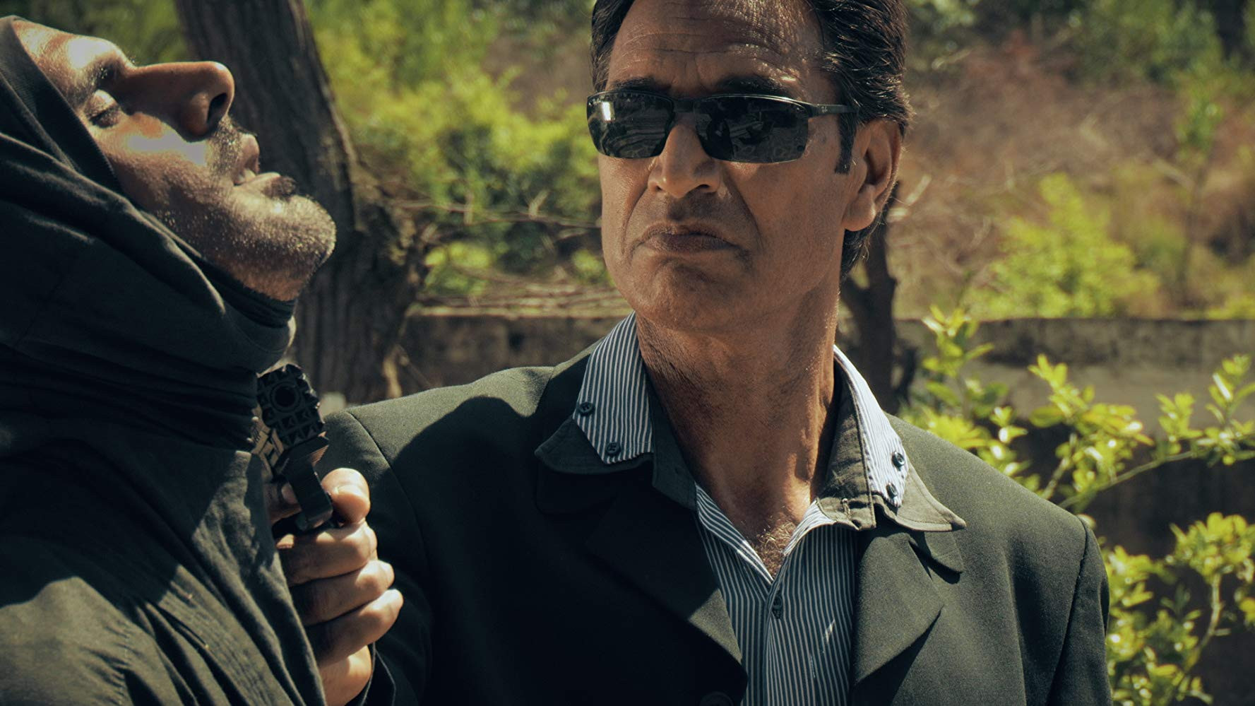 Backdrop for Combativo