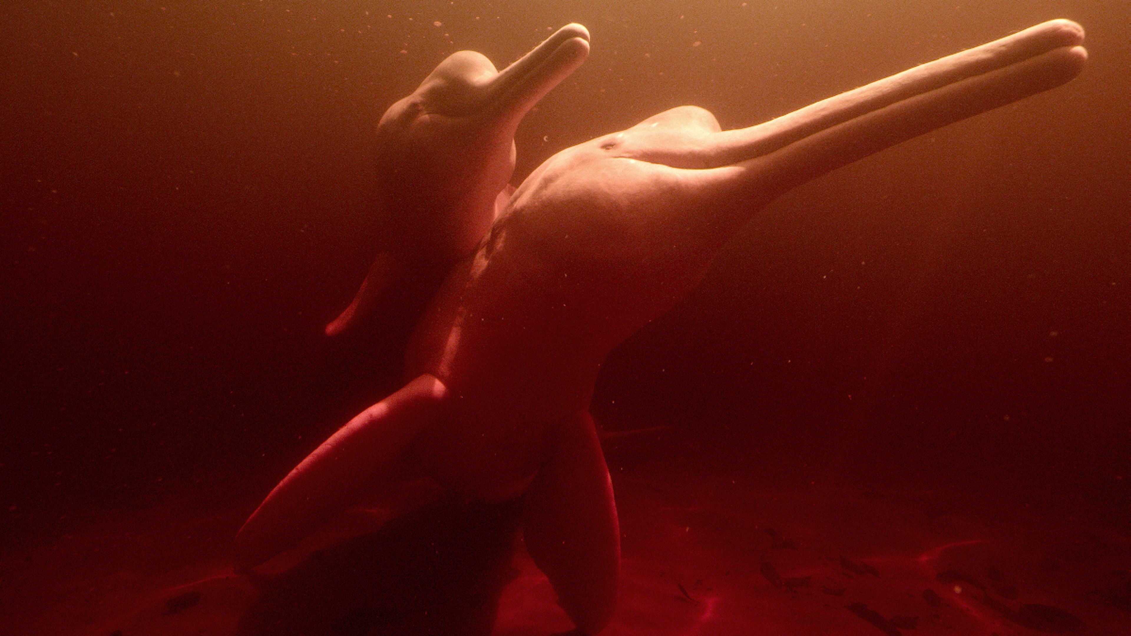 Backdrop for Our Water World