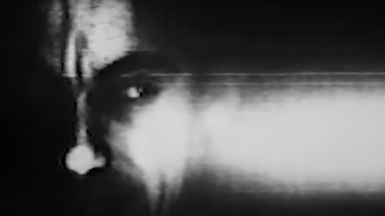 Backdrop for Copy Film