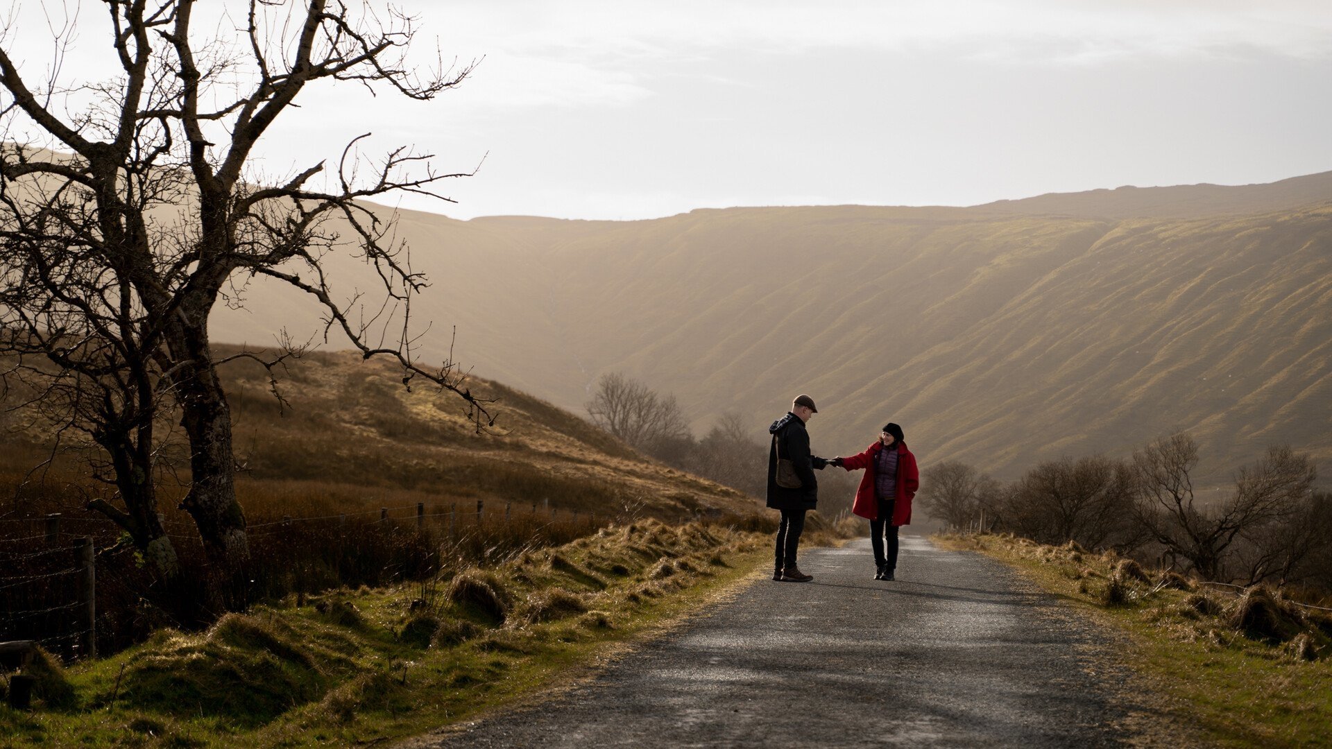 Backdrop for Horseshoe