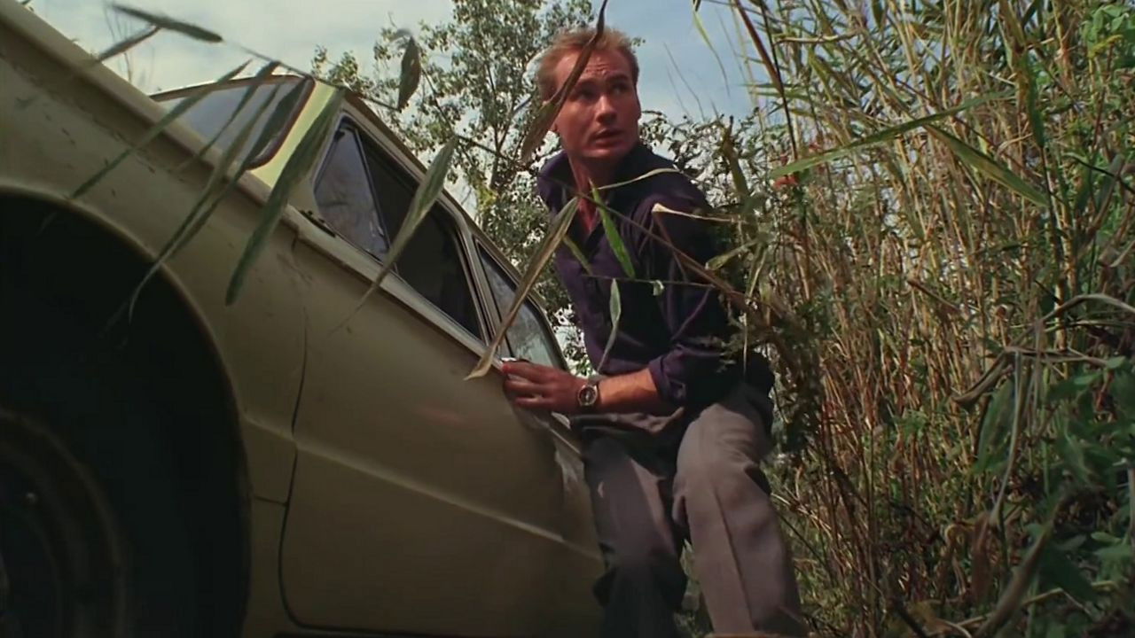 Backdrop for American Boy