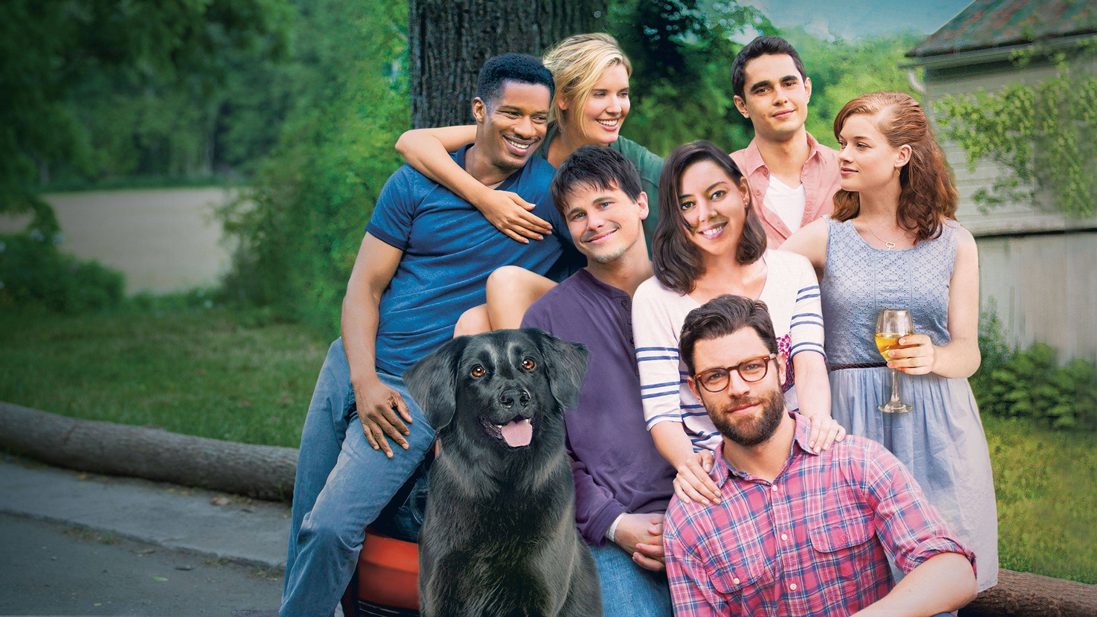 Backdrop for About Alex