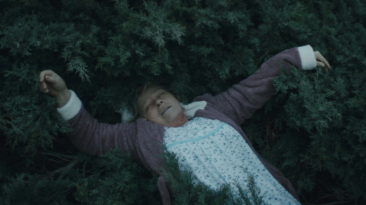 Backdrop for Ruletista