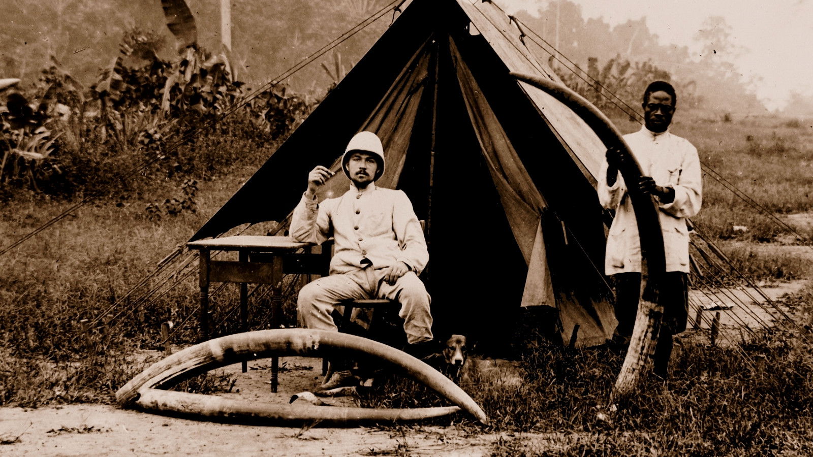 Backdrop for Totems and Taboos