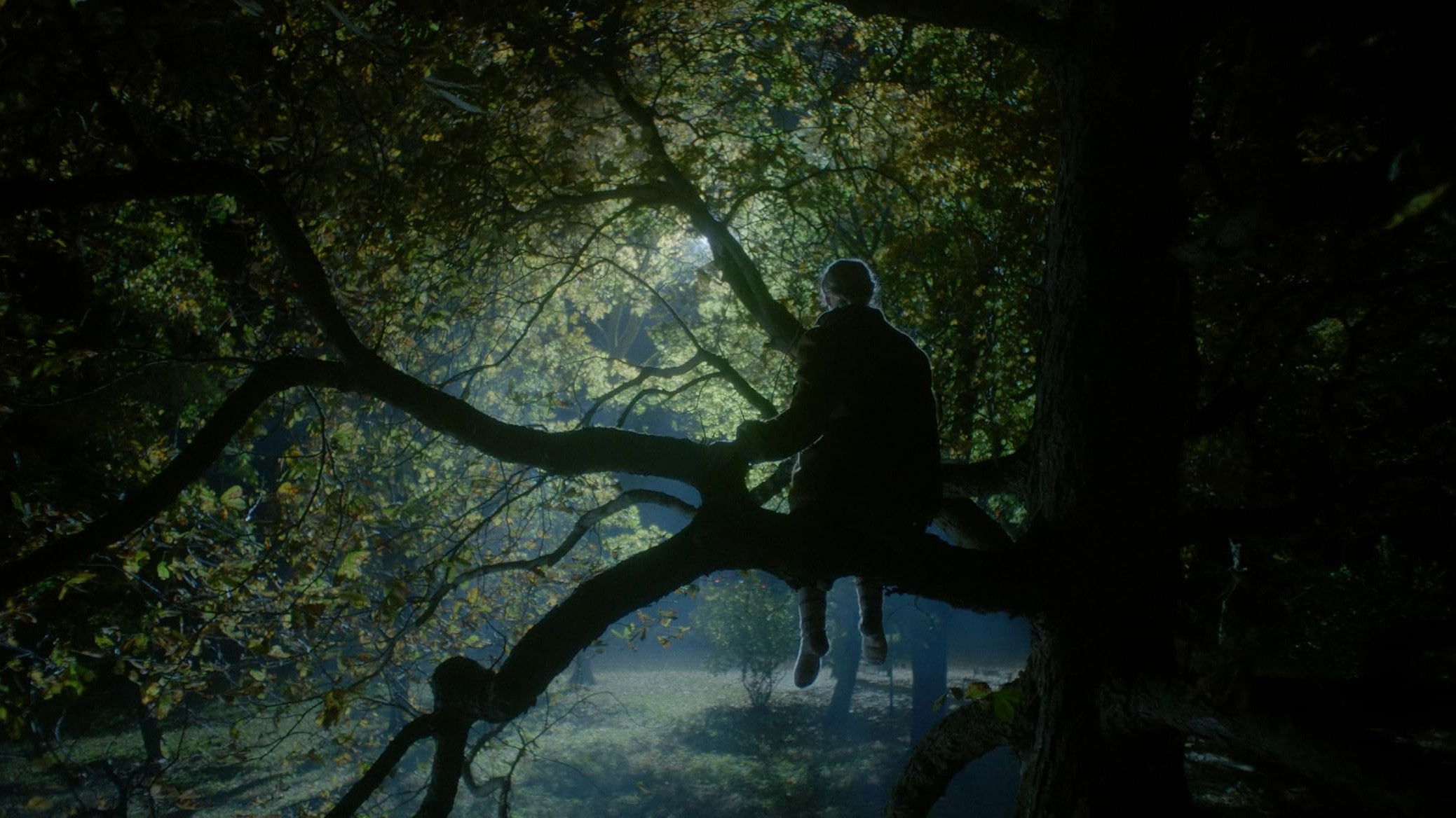 Backdrop for Nightingale