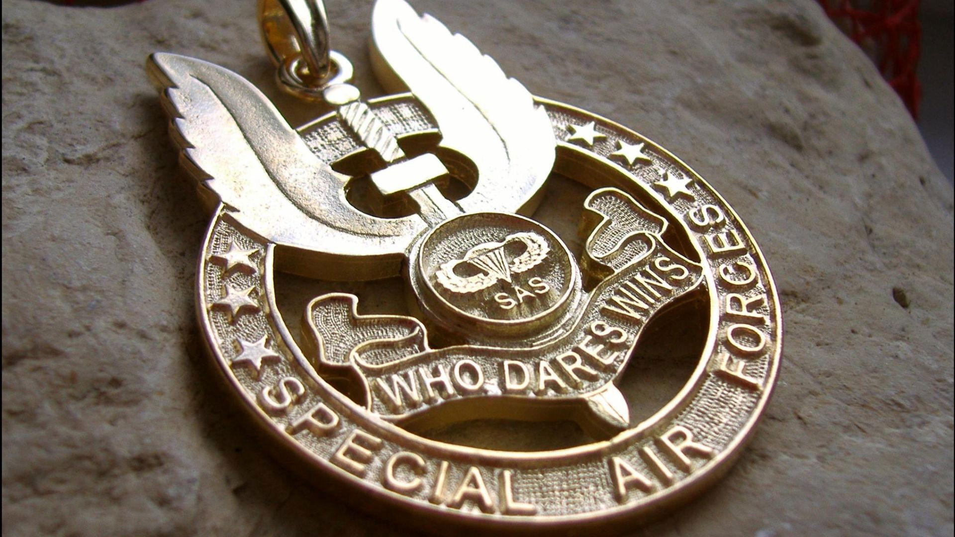 Backdrop for SAS Survival Secrets