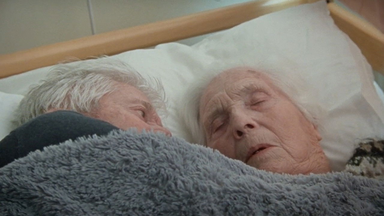 Backdrop for The Ground Beneath Our Feet