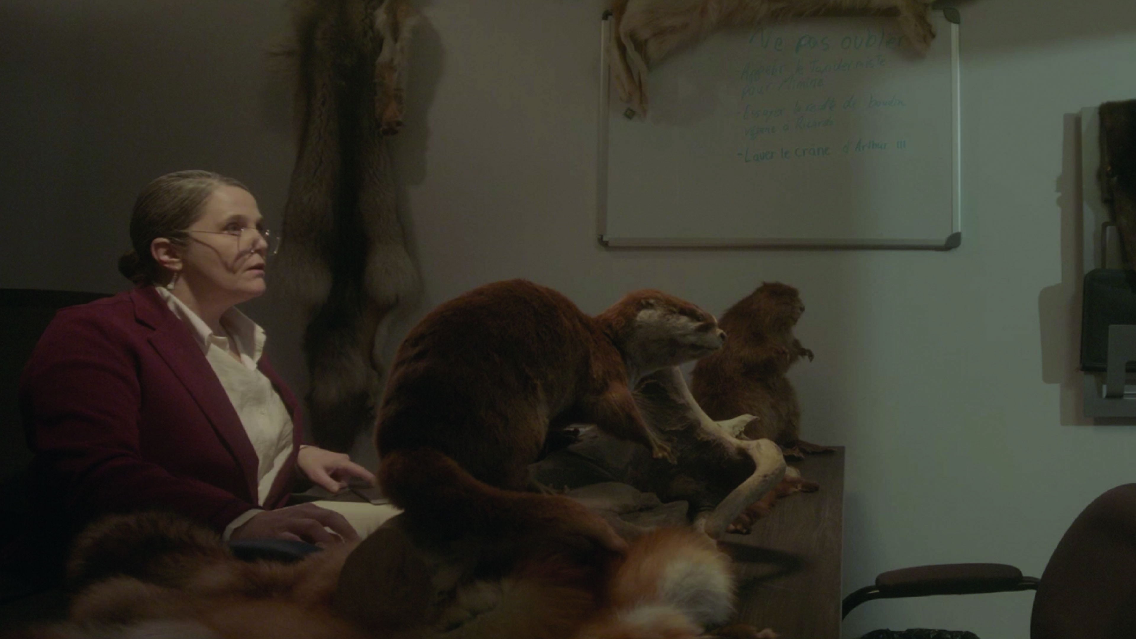 Backdrop for Le dossier