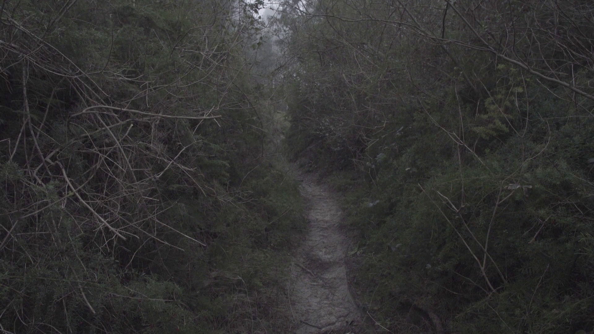 Backdrop for I Am A Live