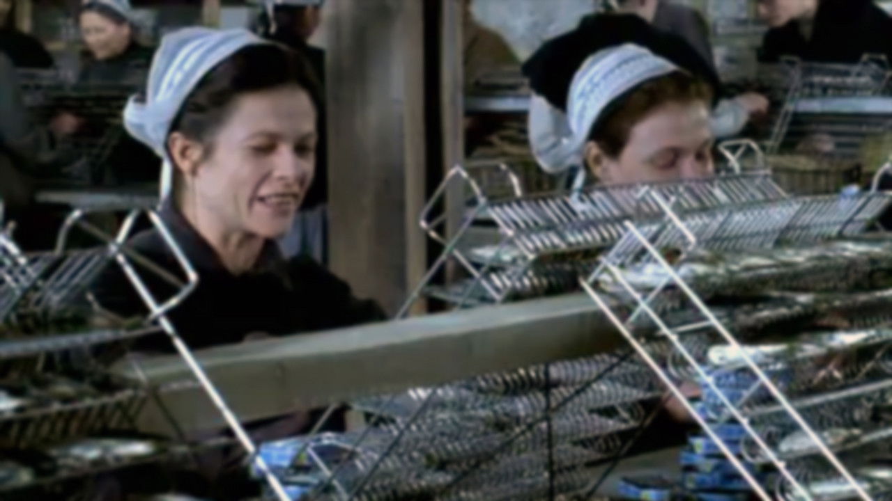 Backdrop for Penn sardines