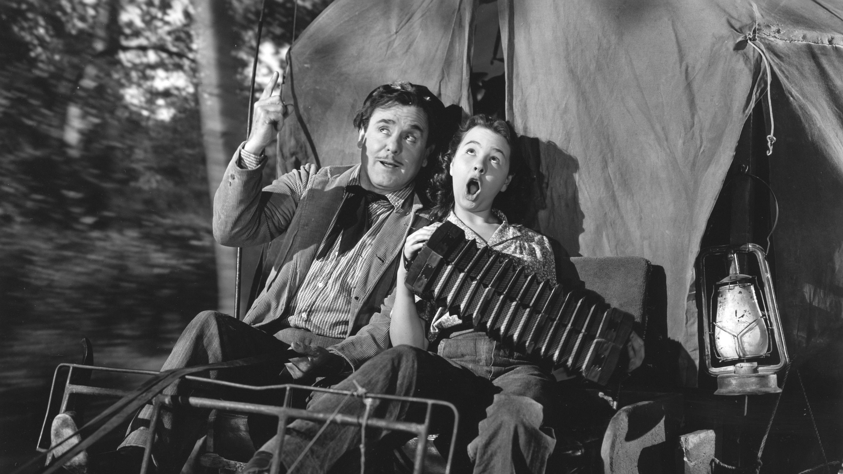 Backdrop for Chicken Wagon Family