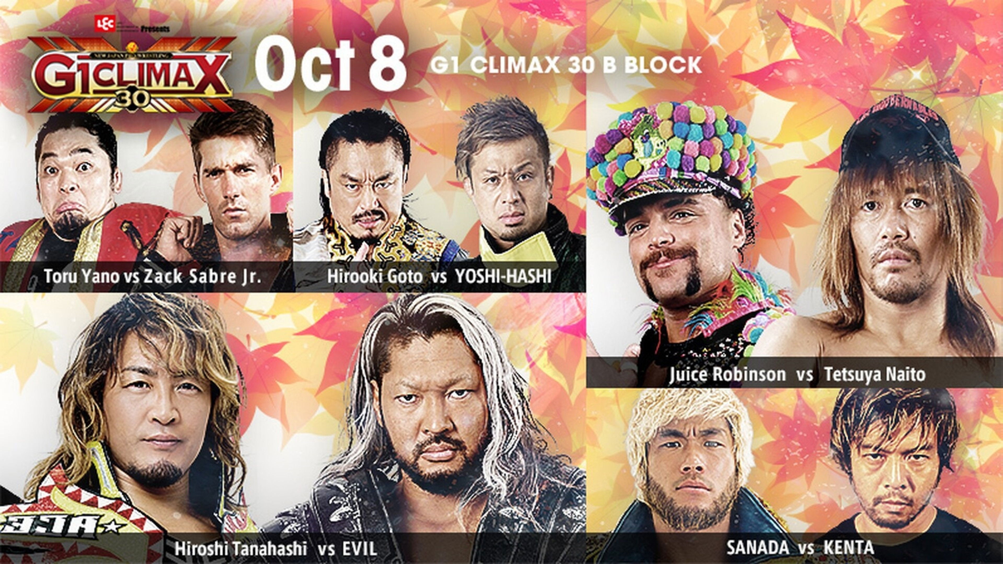 Backdrop for NJPW G1 Climax 30: Day 12