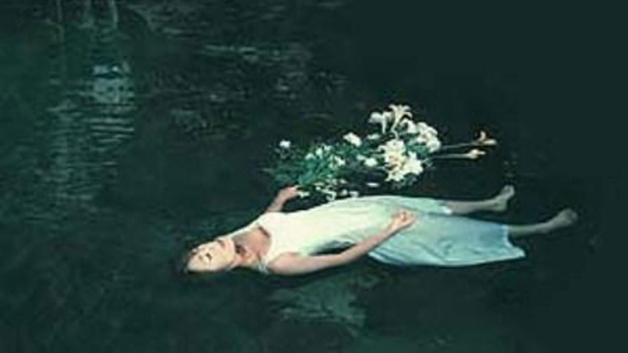 Backdrop for Akame 48 Waterfalls