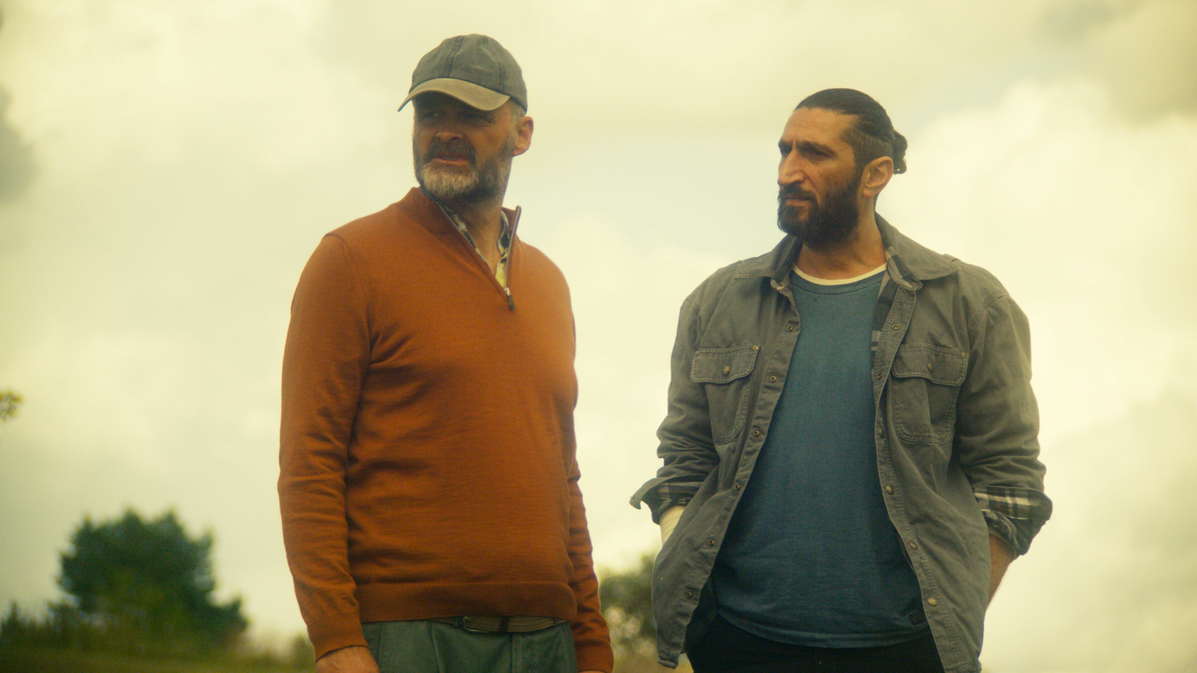 Backdrop for Partisan