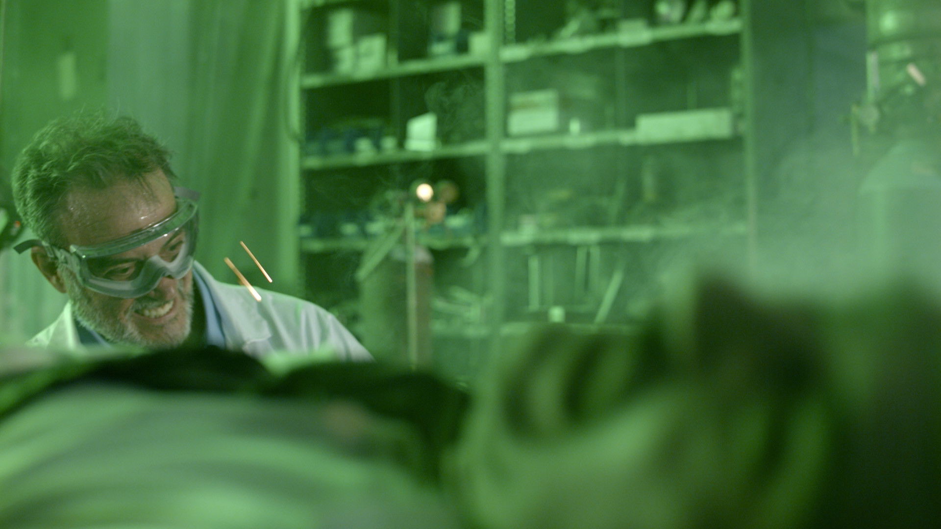 Backdrop for Crocodylus: Mating Season